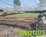 ⭐Chính chủ bán đất trồng cây lâu năm đường Bờ Kênh, Hóc Môn, HCM, 0905213313