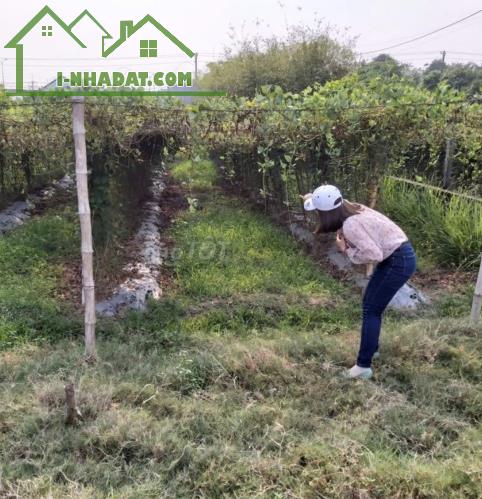Chính chủ bán đất diện tích 196m2 cách quốc lộ 22 tầm 30m, xã Phước Hiệp, Củ Chi - 2