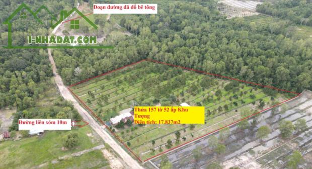 Bán 1.78ha Đất Khu Tượng Giá Chỉ 1,1 triệu/m2 - 1