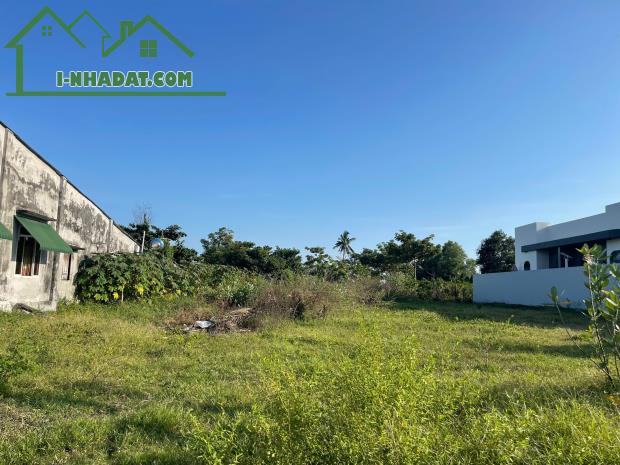 Bán 3000m2 đất hẻm Trần Quốc Toản, thị xã LaGi giá rẻ nhất sổ riêng - 2