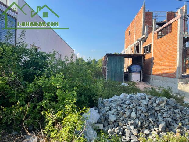 Bán 3000m2 đất hẻm Trần Quốc Toản, thị xã LaGi giá rẻ nhất sổ riêng - 4