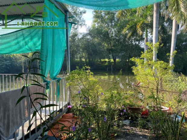Bán 1000m2 Nhà Đất Chính chủ, Thổ cư 100m2 Tại xã Thái Bình, huyện Châu Thành, Tây Ninh, - 5