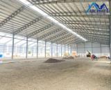 Cho thuê nhà xưởng hơn 20000m2 KCN Đồng Nai