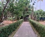 🍁 BÁN ĐẤT BIỆT THỰ 1250m2 GÓC 2 MẶT TIỀN – LƯƠNG QUÁN – THÂN VĂN NHIẾP – THỦY BIỀU, TP