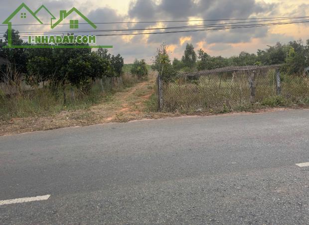 Bán Đất 1,2 tỷ 1236m2 -20x63 tại Thắng Hải - Liên Hệ:0987750239 - 2