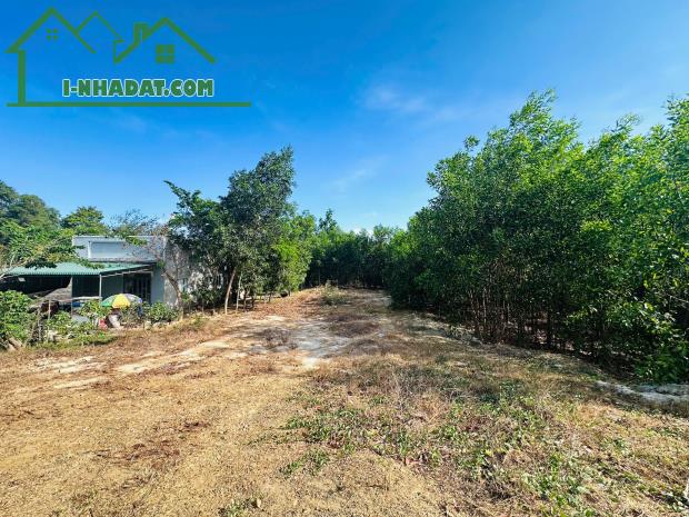 Bán 19m x 47m đất thổ cư Tân Hà, thị xã LaGi giá ngộp 1.4 tỷ - 1