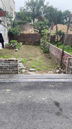 CHÍNH CHỦ BÁN 58,9M² ĐẤT ĐẸP TẠI LƯƠNG NỖ, TIÊN DƯƠNG – Ô TÔ VÀO TẬN NƠI! - 2