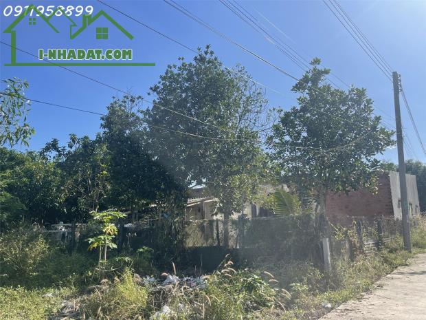 Bán 113m2 đất ONT Tân An - TX LaGi giá rẻ nhất 850 triệu sổ riêng - 2