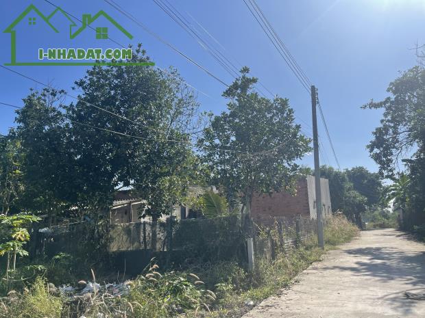 Bán 113m2 đất ONT Tân An - TX LaGi giá rẻ nhất 850 triệu sổ riêng - 4