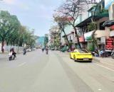 BÁN GẤP NHÀ NGỌC HÀ PHỐ VIP BA ĐÌNH  KD FULL NỘI THẤT 50M X 5 TẦNG 18 TỶ