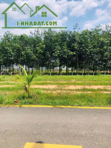 🌹🌹 hữu duyên cho ai sở hữu mảnh đất nền 163m2 chỉ 500tr ở Phước Thạnh Củ Chi - 3