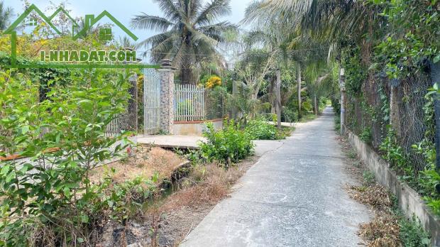 Đất 440m2 đường tổ 5+6 Mỹ Lương,Mỹ Phong,TP.Mỹ Tho,Tiền Giang - 1