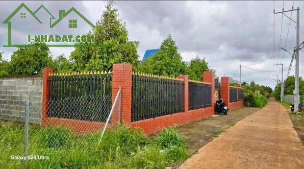 GIA ĐÌNH CÔ ÚT SANG MỸ ĐỊNH CƯ KHÔNG AI CHĂM VƯỜN NÊN CẦN ĐỂ LẠI CÓ 300 CÂY CÂY SẦU RIÊNG - 1