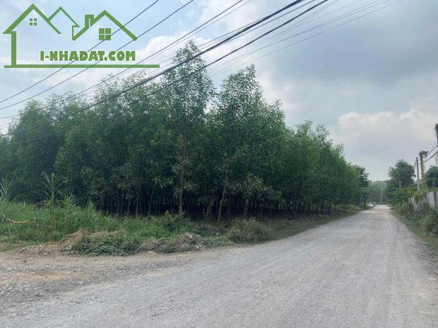 Bán đất 6000m2 xây dựng nhà xưởng 3 mặt tiền Thiện Tân TP Biên Hòa Đồng Nai chỉ 16 tỷ - 2