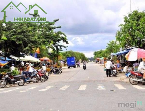BÁN NHÀ CẤP 4 2 PHÒNG NGỦ – DIỆN TÍCH 172M² – ĐƯỜNG NHỰA THÔNG DÀI – GIÁ TỐT ĐẦU TƯ - 5