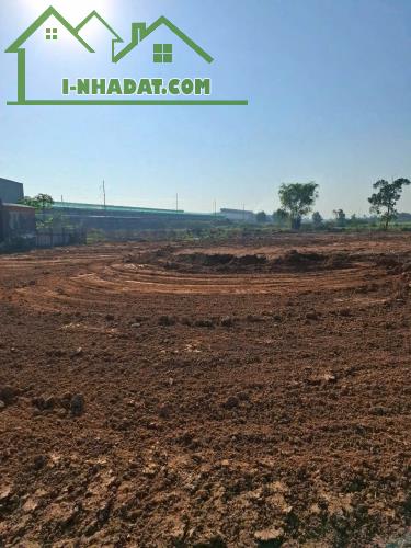 23000m2 mặt tiền ql 1A, xã Nhựt Chánh, Bến Lức giá 225 tỷ - 3