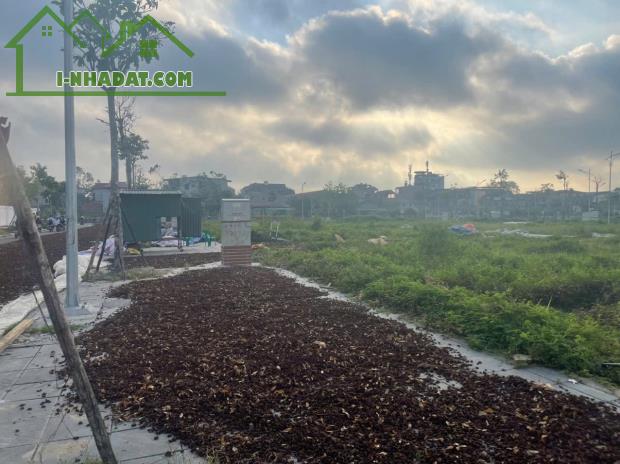 Cần bán lô đất đấu giá 87,5m² tại Thụy Lâm – Đông Anh - Siêu Đẹp - Siêu Rẻ - Đón Đầu Vin T - 1