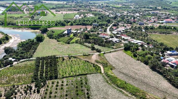bán 4.300m2 xã Sông Cầu, Khánh Vĩnh quy hoạch full thổ cư có sẵn vườn trái cây - 2