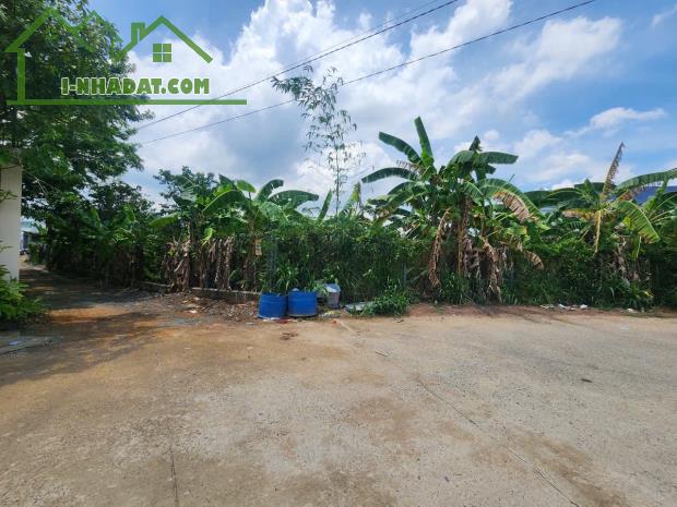 BÁN GẤP 3 LÔ ĐẤT THỔ CƯ LIỀN KỀ THÍCH HỢP XÂY BIỆT THỰ - 3