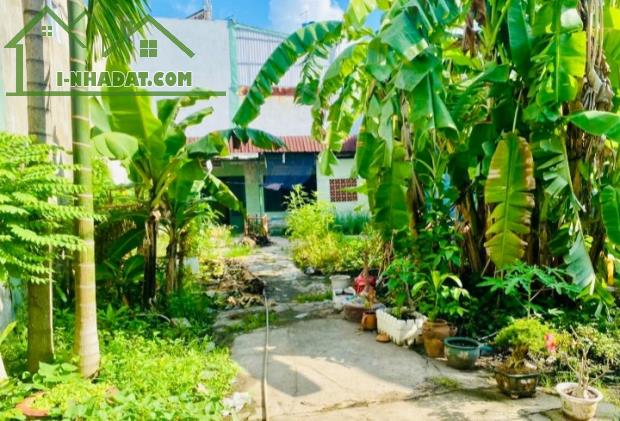 Bán căn nhà vườn cũ 348m² cấp 4 11x22m nở hậu 24m Hẻm Hà Huy Giáp Quận 12 giá rẻ 7.2 tỷ - 1