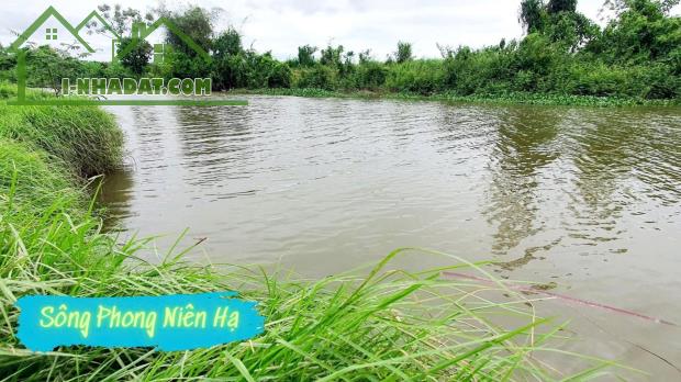 Đất view sông dự án KHU DỊCH VỤ HỖN HỢP VSIP QUẢNG NGÃI , 270m2, 2,69 tỷ