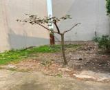 Bán đất tổ 7, Quang Minh, Mê Linh. Gần đường Võ Văn Kiệt và khu công nghiệp