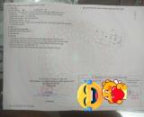 Chính chủ bán lô đất góc 2 mặt tiền đẹp tại thôn Quế Sơn, xã Tân Ước – ô tô đỗ cửa, giá ch