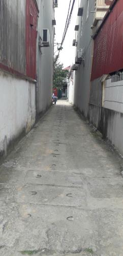 Đất Tiên Hùng - Nguyên Khê - Đông Anh 85m MT 4,8m giá 5,5 tỷ - 1
