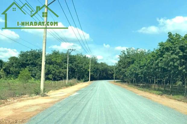 SỈ 5 SỔ ĐẤT THỔ CƯ 280M2 1 SỔ GIÁ CHỈ 198 TRIỆU NGAY SÁT QL13 PHÍA TÂY - 2