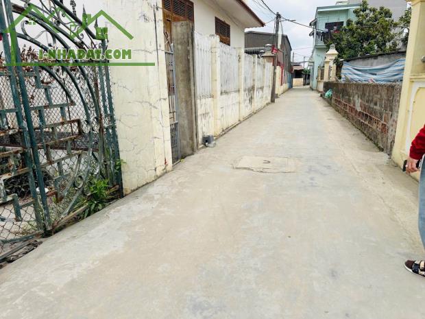 Bán đất Đông Phương - Kiến Thụy - Hải Phòng - 3