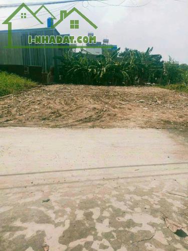228m2 đất thổ hẻm xã Vĩnh Lộc A, Bình Chánh giá 8 tỷ - 1