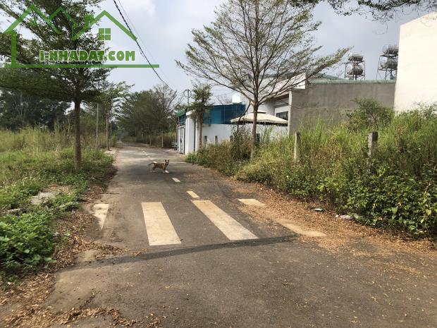🛣️ Mặt Tiền Đường 6m – Gần Nguyễn Hoàng – Sở Hữu Ngay Với 950 Triệu! - 2