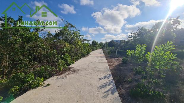 Bán 35m x 65m đất ONT Tân Phước - TX LaGi gần Biển & 577 giá rẻ - 4