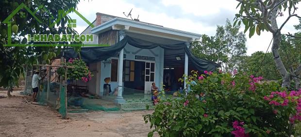 Bán 1176m2 đất ONT Tân Thắng - Huyện Hàm Tân giá ngộp chỉ 800 triệu - 1