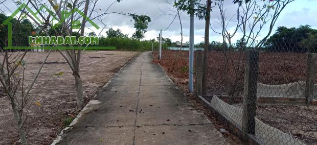 Bán 1176m2 đất ONT Tân Thắng - Huyện Hàm Tân giá ngộp chỉ 800 triệu - 2