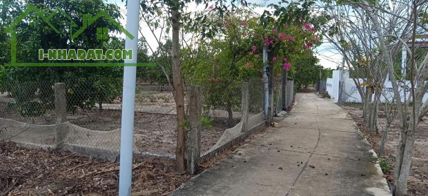 Bán 1176m2 đất ONT Tân Thắng - Huyện Hàm Tân giá ngộp chỉ 800 triệu - 3