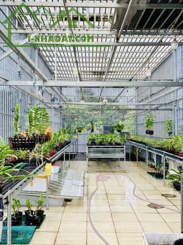 KHU PHÂN LÔ VIP GẦN SÂN BAY – NGAY DƯƠNG QUẢNG HÀM - 4.3M X 15M - 4