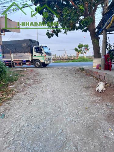 BÁN ĐẤT HỰU THẠNH ĐỨC HÒA LONG AN GIÁ 2 tỷ 800Tr /THỔ CƯ 100% - 3