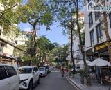 Cực hiếm - Bán nhà  Đào Tấn, Ba Đình - Nhà phân lô - ngõ ô tô đỗ cửa - 63m x 5T, 17.3 tỷ