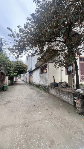 🏡 BÁN ĐẤT TẶNG 6 PHÒNG TRỌ – PHỐ 2 QUẢNG HƯNG – GẦN KCN KIM LỄ MÔN VÀ ĐẠI LỘ HÙNG VƯƠNG - 1
