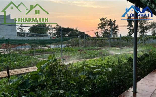 Bán đất full thổ cư phường An Hòa TP Biên Hòa 125m² giá chỉ 1,72 tỷ