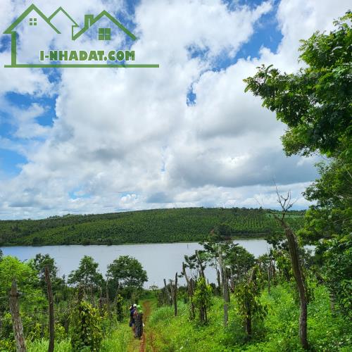 Chính chủ bán đất Tuy Đức – Đắk Nông, sát Lâm Đồng – khí hậu mát mẻ quanh năm - 1