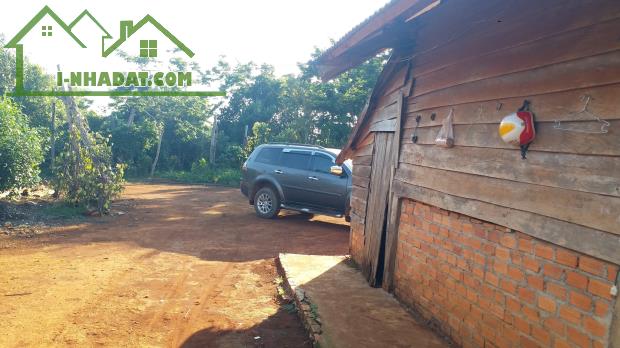 Chính chủ bán đất Tuy Đức – Đắk Nông, sát Lâm Đồng – khí hậu mát mẻ quanh năm - 3