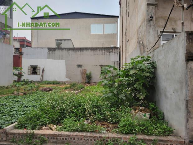 Bán Gấp 72m² Đất Thổ Cư Tiền Phong – Đường Thông, Ô Tô Đỗ Cửa, Giá Tốt! - 1
