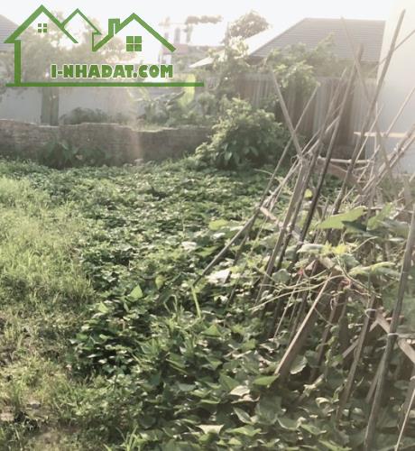 💥Chính chủ gửi em bán giúp lô đấu giá X1 Bắc Hồng, Đông Anh, gần VIN Bắc Hồng, Đầu tư👌 - 1