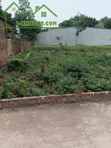 Bán Đất - Xã Tân Minh (Sóc Sơn)-88m2 Full Thổ Cư Đường Thông Ô TÔ -2,08Tỷ - 1