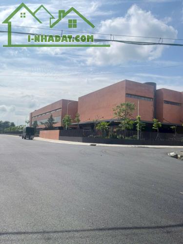 Biệt thự KDC Ấp 5 Phong Phú, giáp ranh BX Q8 - 3
