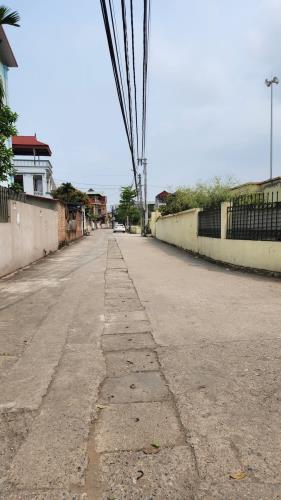 Bán đất tặng nhà C4 65m thôn Vệ Nam Hồng. Ô tô 7 chỗ vào thoải mái - 2