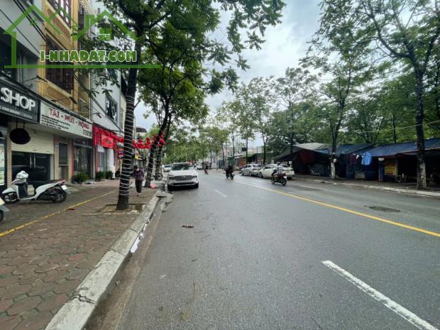 Bán đất dương văn bé 119M ô tô vào đất 1 nhà ra phố hai bà trưng - 3