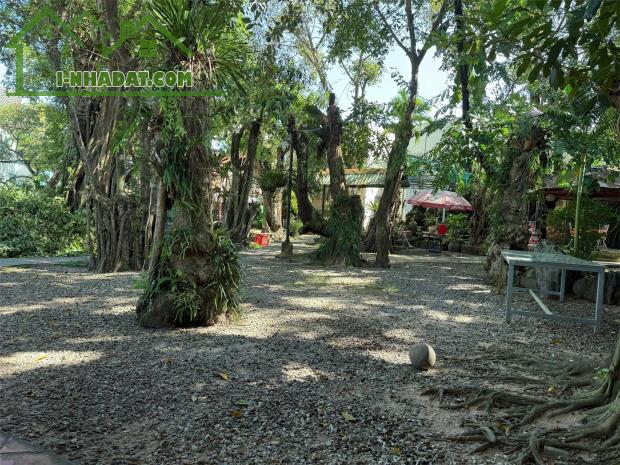 Bán 1100m² Mặt Tiền Chu Văn An – Đất Đẹp, Sổ Riêng, Giá Hợp Lý - 1